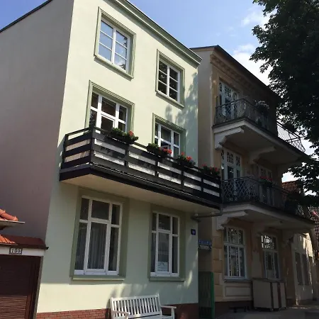 Alexandrine * Rostock