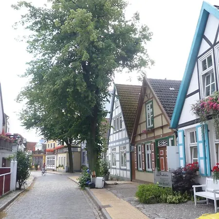 Alexandrine Rostock