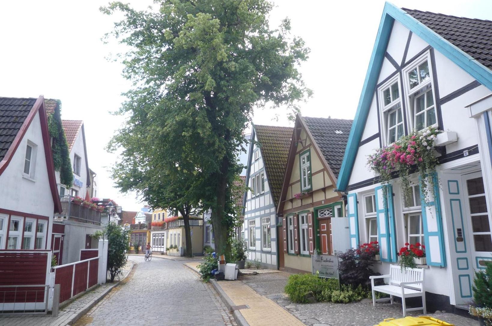Alexandrine Rostock